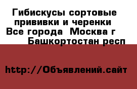 Гибискусы сортовые, прививки и черенки - Все города, Москва г.  »    . Башкортостан респ.